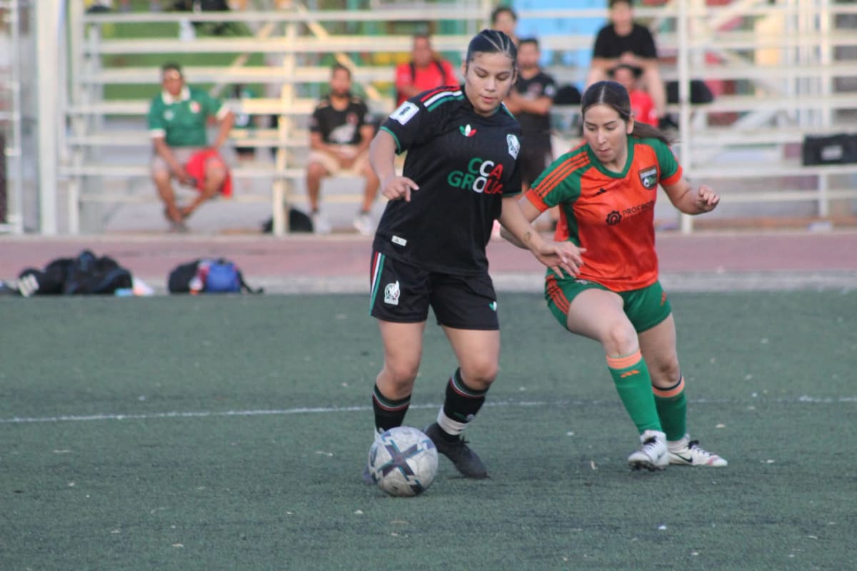 Arranca el Torneo de Liga de la LUFF con cuatro encuentros