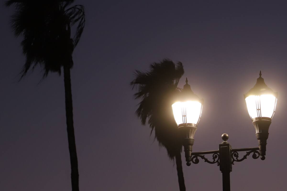 Joven resulta lesionada tras caerle un árbol por el viento en Mexicali