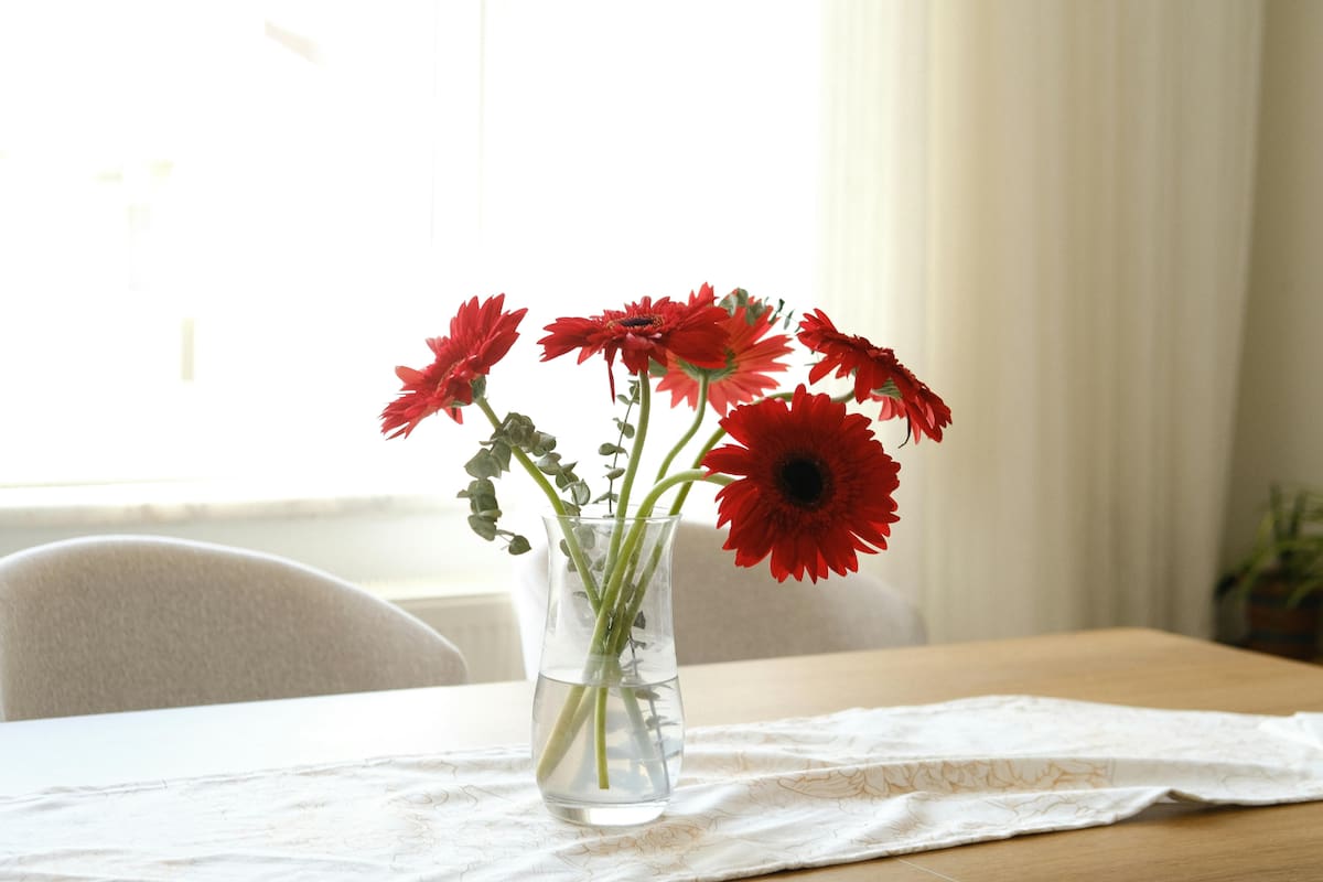 Cómo las flores frescas pueden mejorar tu bienestar diario, prueba nuevo estudio