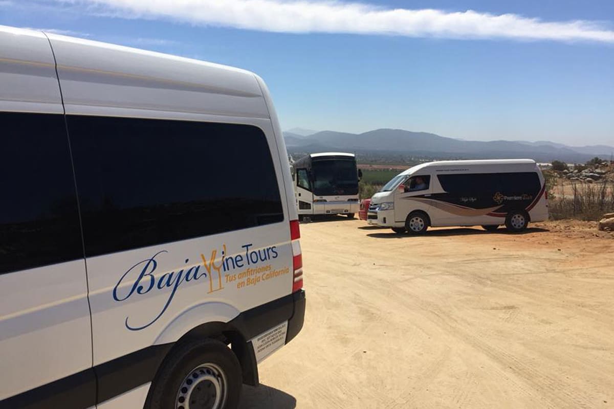 Aumentan los tours al Valle de Guadalupe