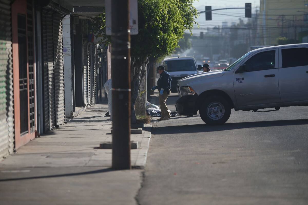 Los restos fueron abandonados dentro de bolsas de plástico.