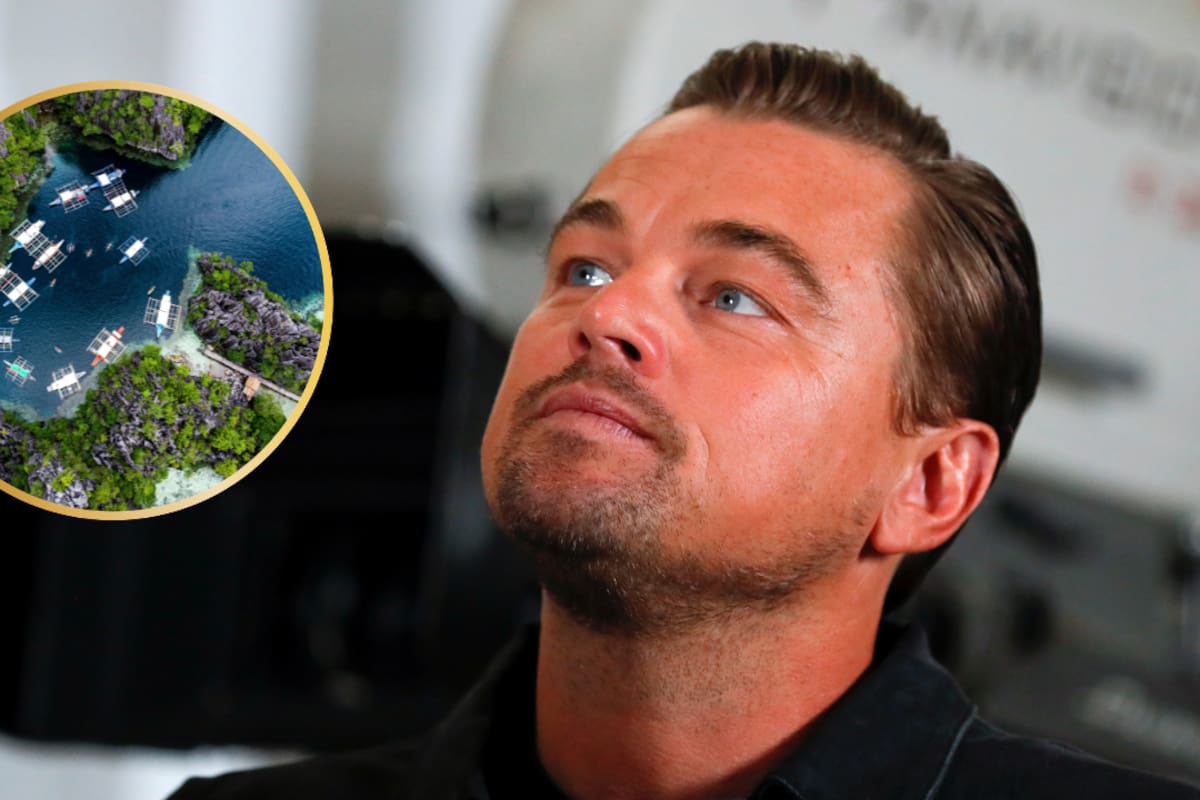 Leonardo DiCaprio pagó 29.5 millones de pesos por una isla de 42 hectáreas con el objetivo de proteger peces, tortugas y manatíes, además de recuperar los manglares afectados por la erosión, la sobrepesca y el deterioro ambiental