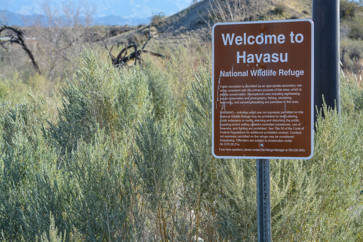 Refugio Nacional de Vida Silvestre Havasu: Naturaleza y actividades al aire libre en Arizona