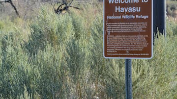 Refugio Nacional de Vida Silvestre Havasu: Naturaleza y actividades al aire libre en Arizona