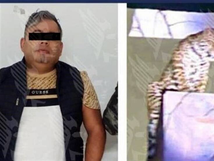 Aseguran ejemplar de jaguar durante operativo en Puebla