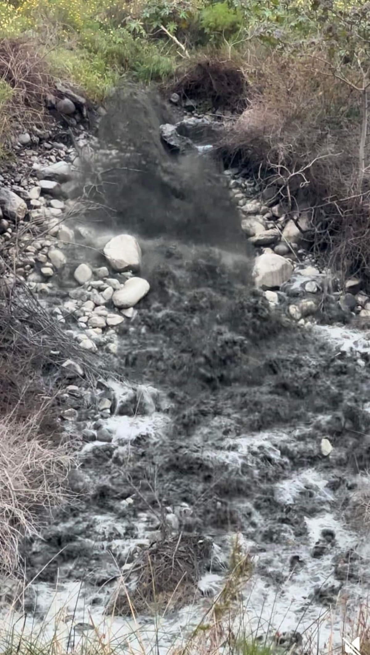 El daño  que se ha hecho al medio ambiente durante estos años ha sido muy fuerte en el arroyo San Carlos.