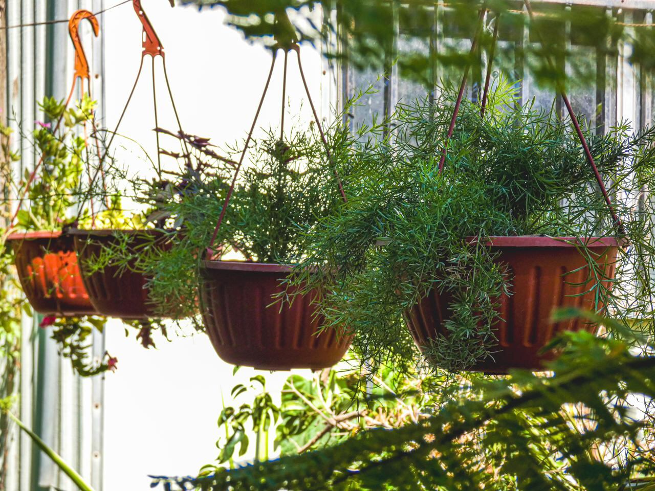 Foto: Andrés O. Farrera.