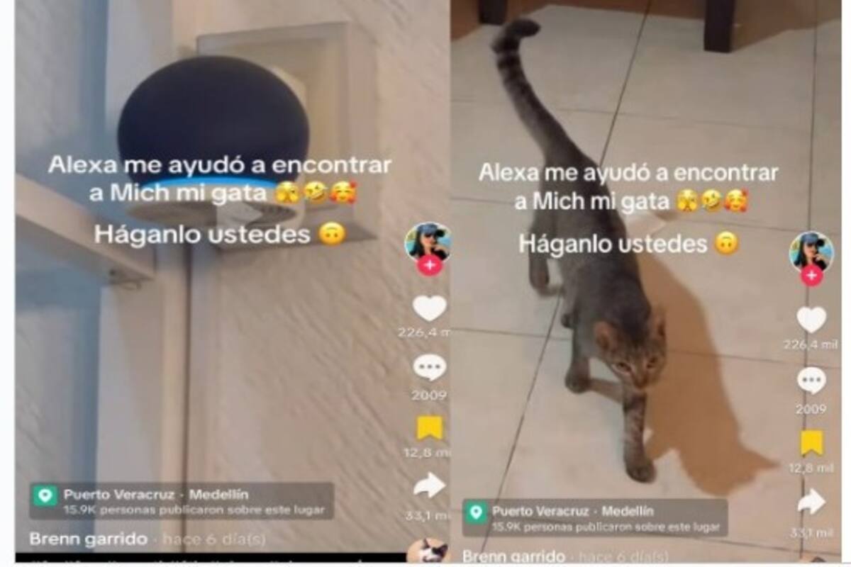 Alexa ayuda a encontrar a una gatita