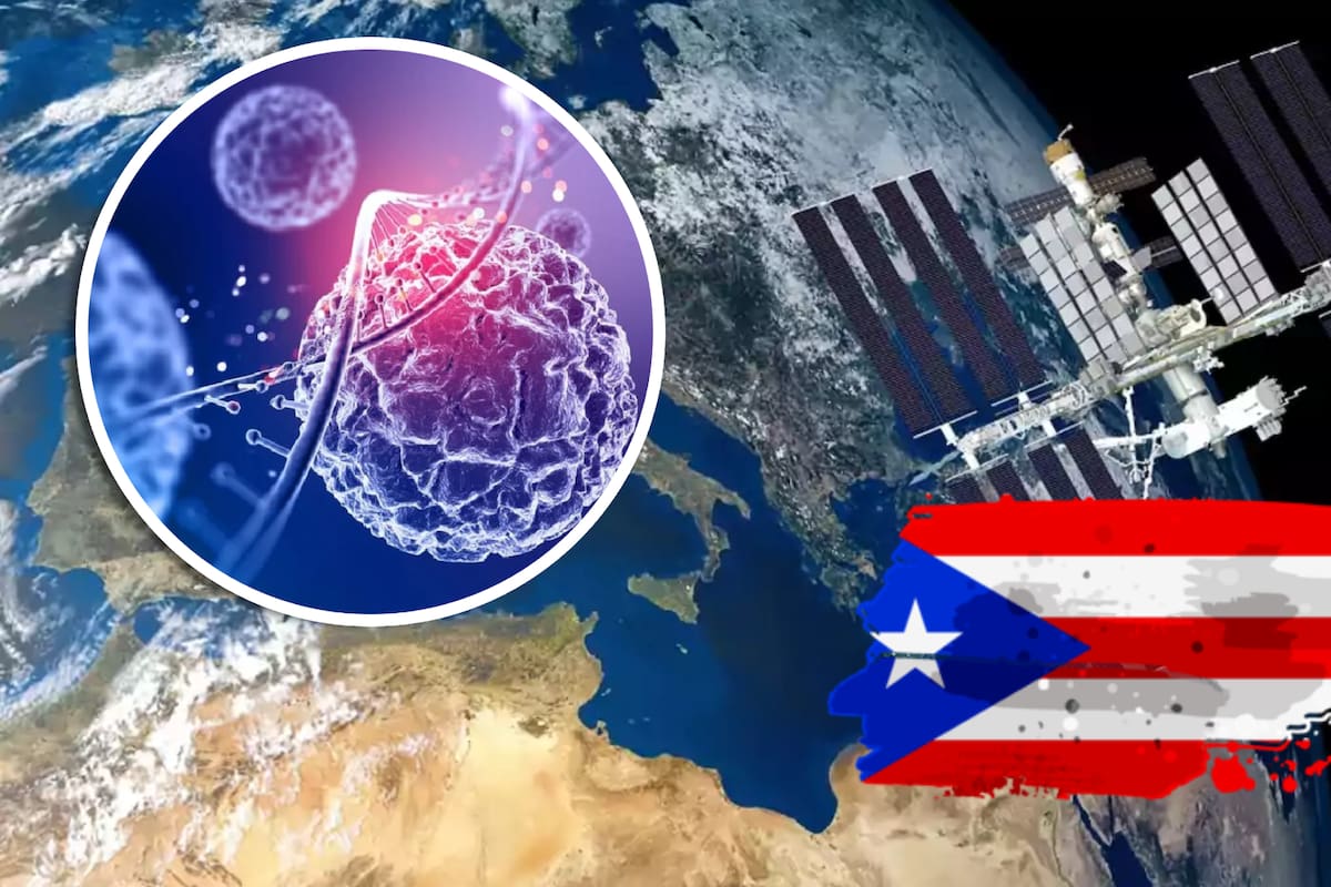 Puerto Rico se suma a la investigación científica buscando análisis de células madre en el espacio