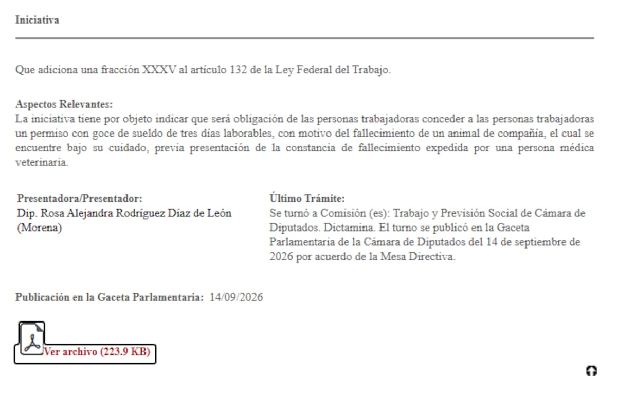 ¿3 días de descanso si muere tu mascota? Diputada propone permiso con goce de sueldo