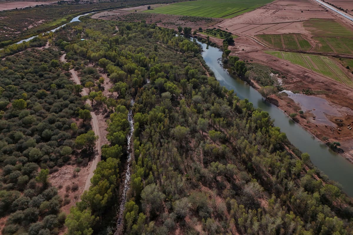 Foto: Arturo Ceceña.