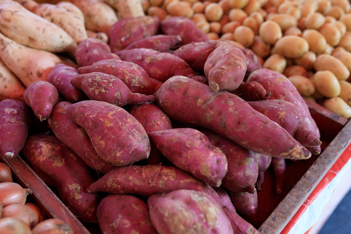 Camote | Pexels
