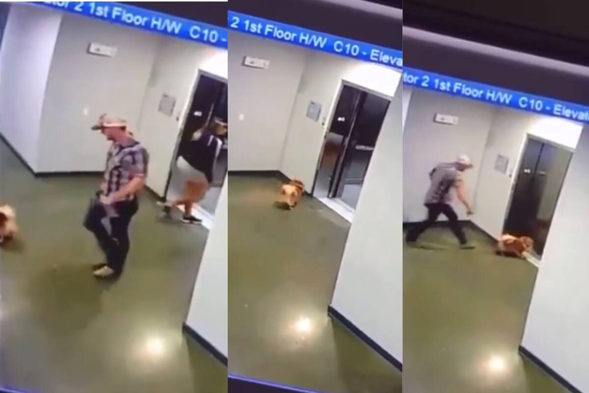 Video: Hombre rescata a perrito de morir estrangulado tras quedar atrapado en elevador