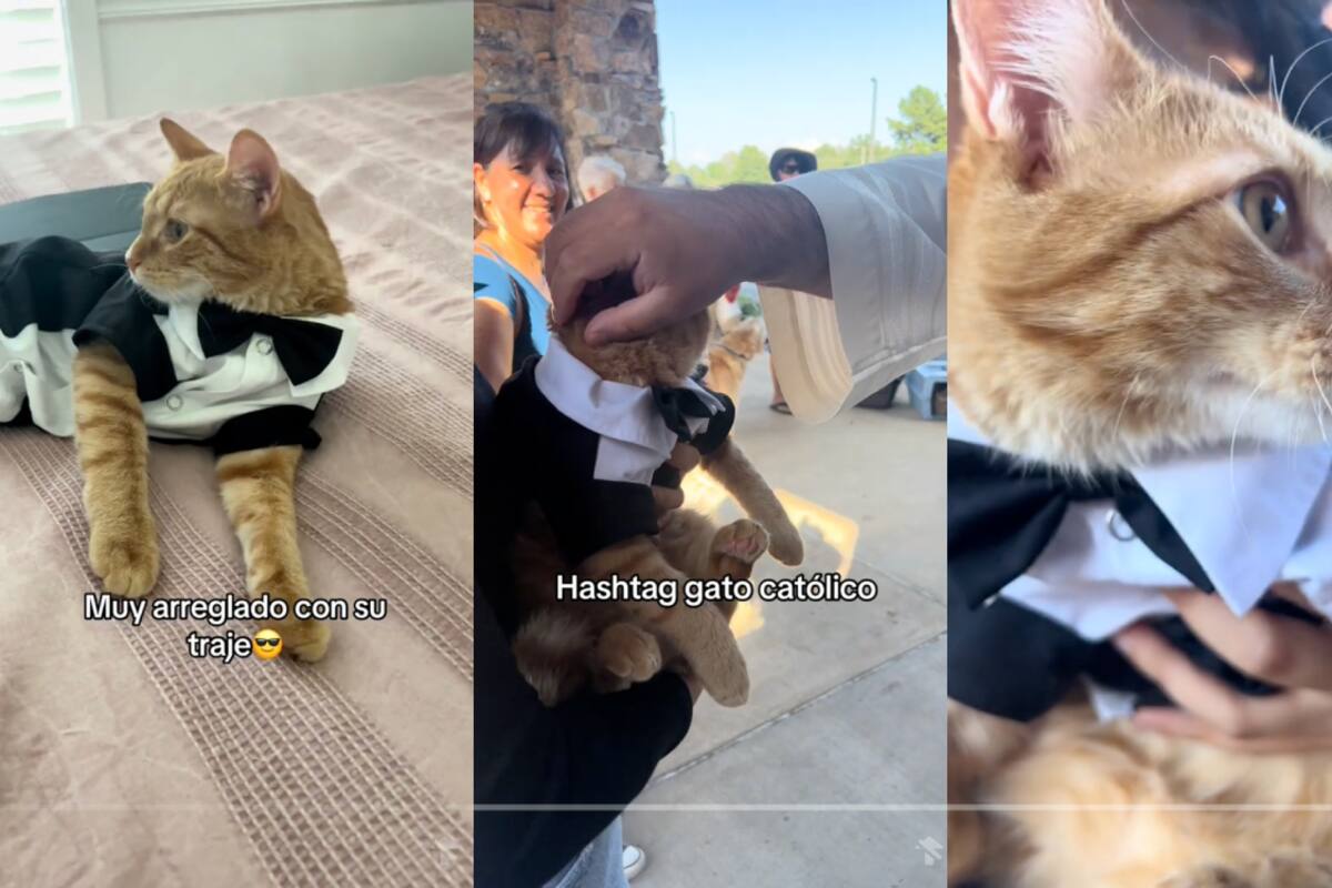 VIRAL: joven lleva a su gato a ser bendecido en una ceremonia religiosa