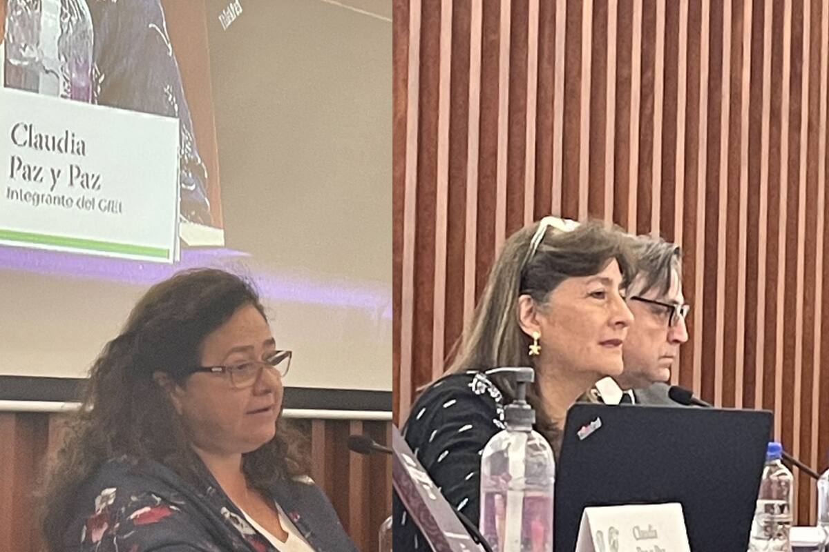 GIEI seguirá en caso Ayotzinapa: "el presidente nos ha manifestado que nos quedamos hasta el 2024"