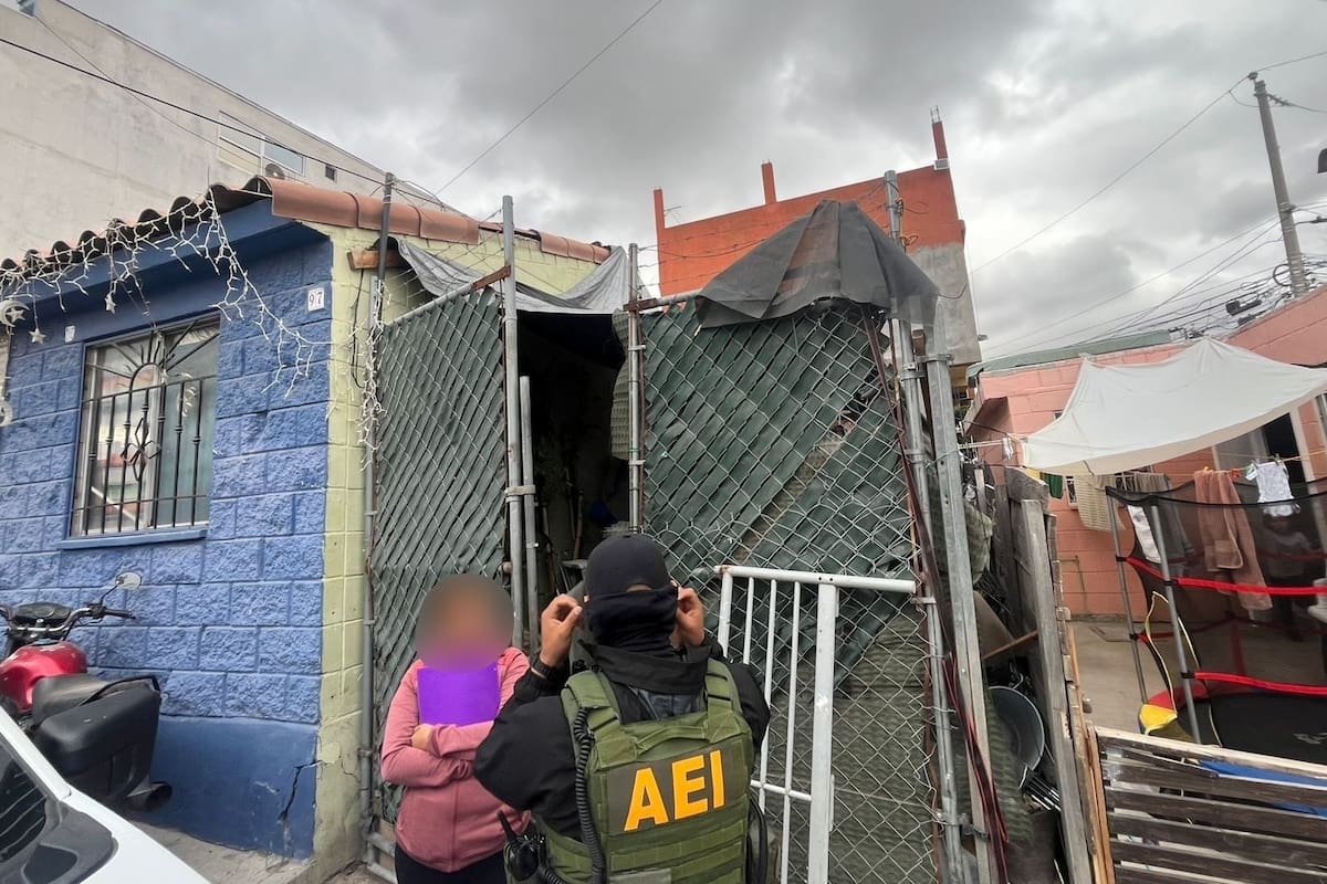 Caso de presunto maltrato a gato es investigado por la Fiscalía de BC