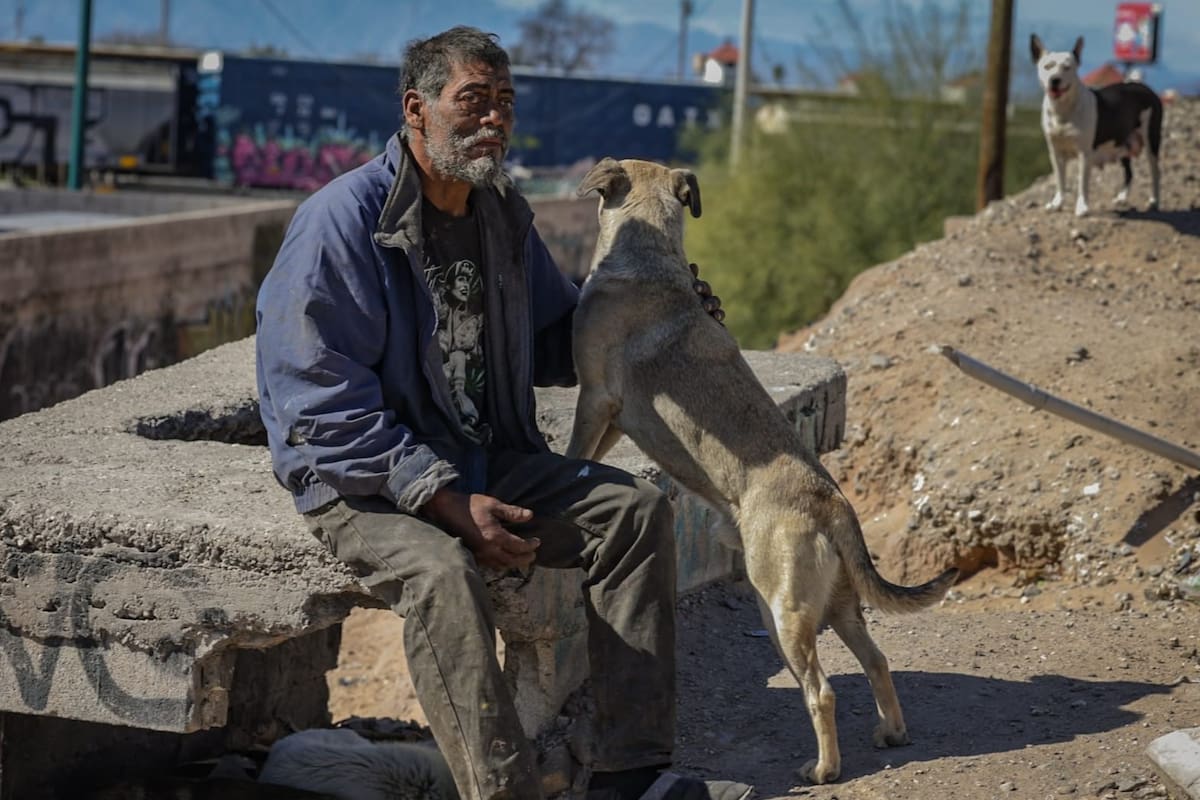 Retiran tres perros y seis cachorros en apego a la Ley Amparito