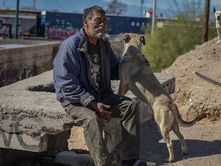 Retiran tres perros y seis cachorros en apego a la Ley Amparito