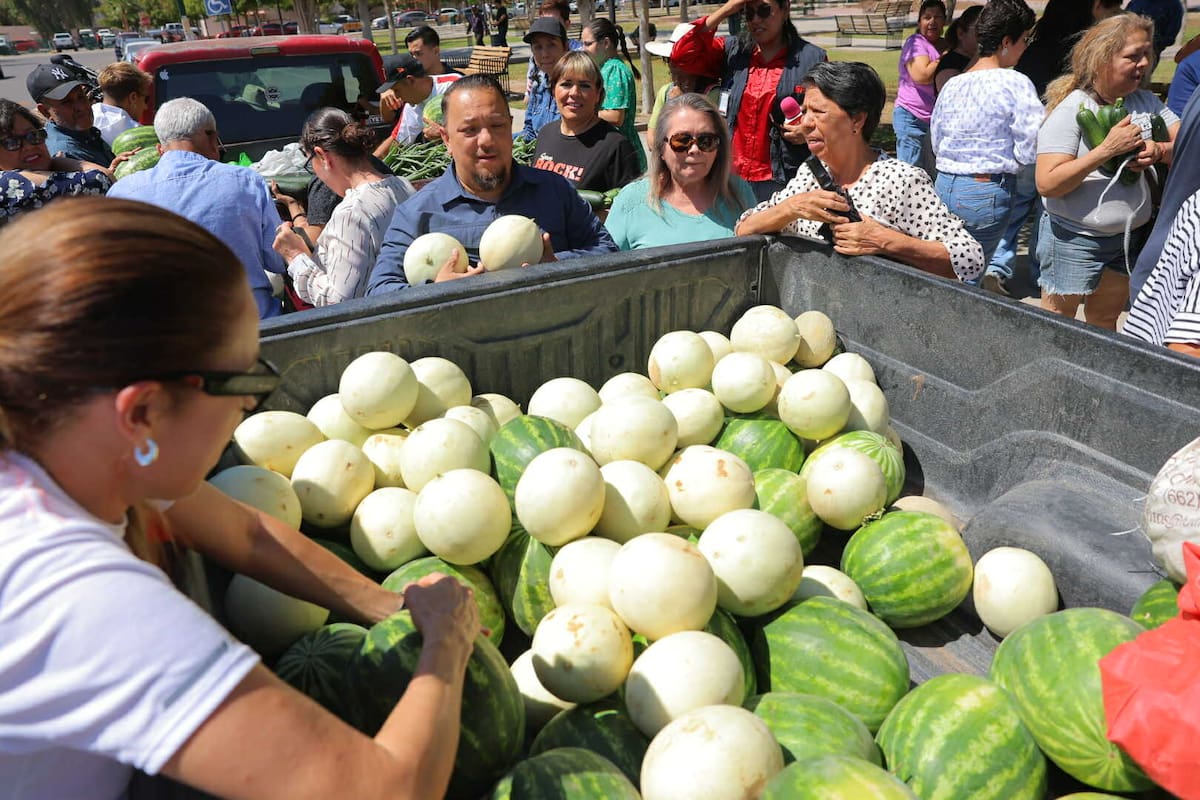 Estudiantes de agronomía de la Universidad de Sonora, realizaron venta de frutas y verduras que fueron cosechadas por ellos mismos durante el semestre. FOTOS: JULIO CLARK