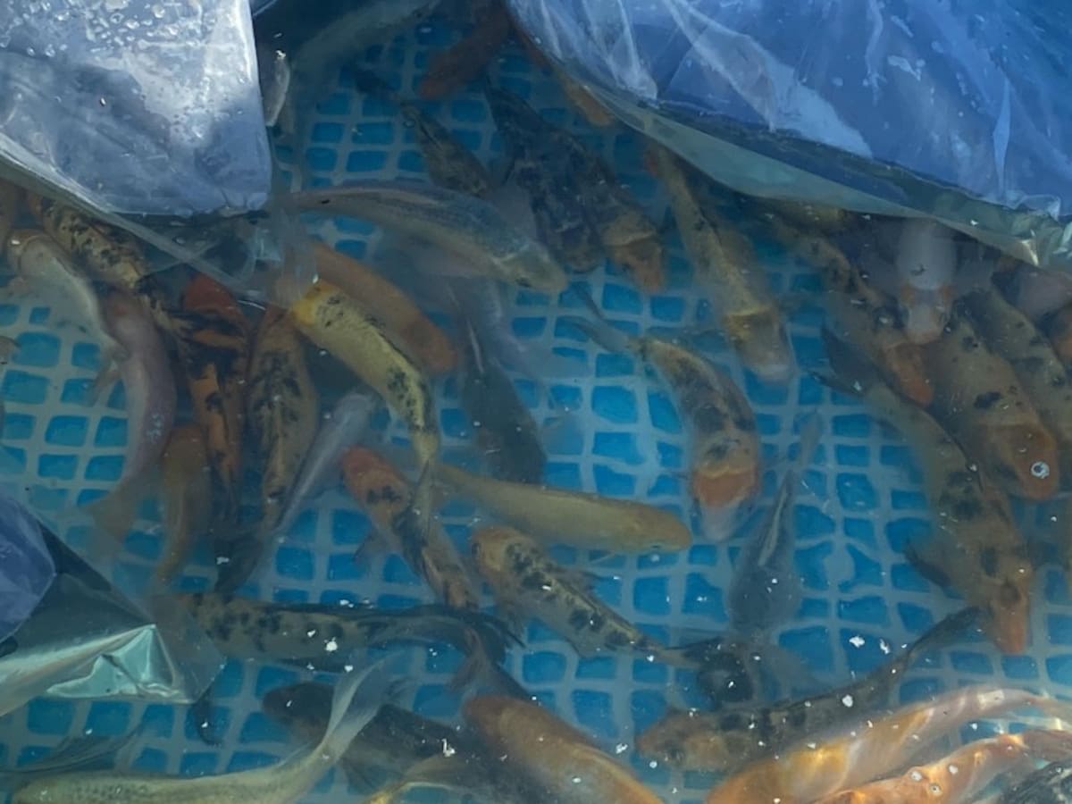 Foto: Mayra Echeverría