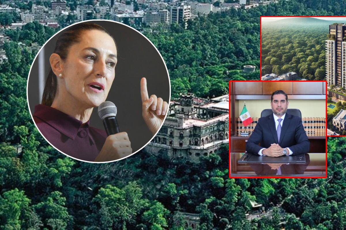 ¿Qué pasa con el Bosque de Chapultepec, qué tiene que ver el Poder Judicial y qué dijo Sheinbaum?