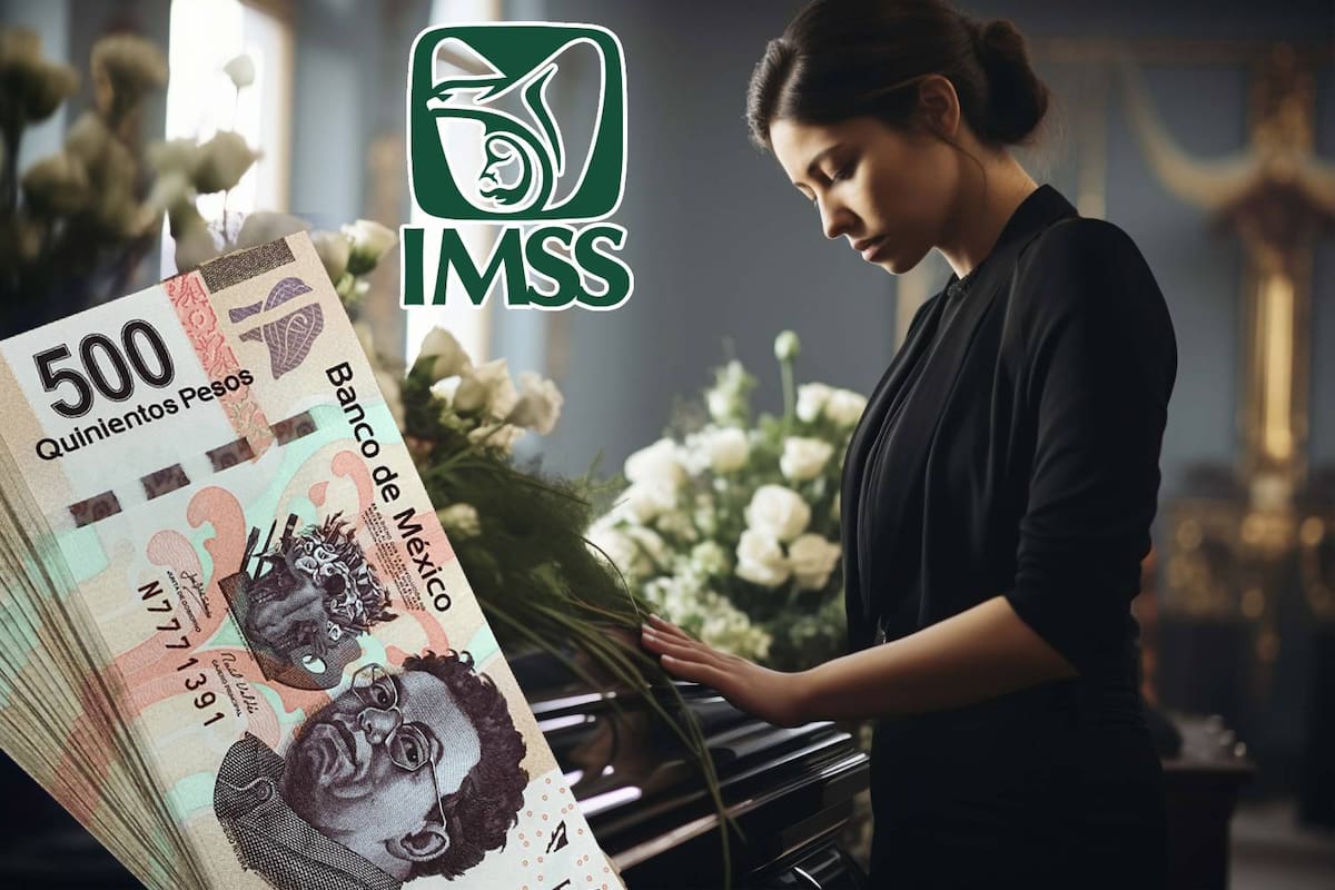 Viudas sin matrimonio legal pueden acceder a la pensión por viudez del IMSS; estos son los requisitos