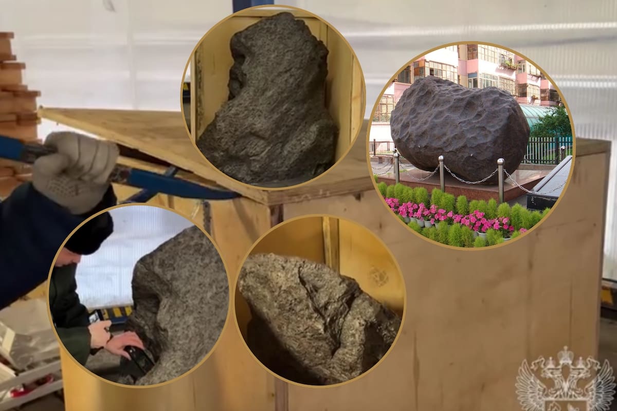 La Aduana rusa abrió una caja declarada como “adorno de jardín” y encontró en su interior un meteorito Aletai valuado en 323 millones de rublos que tenía como destino final la ciudad de Londres