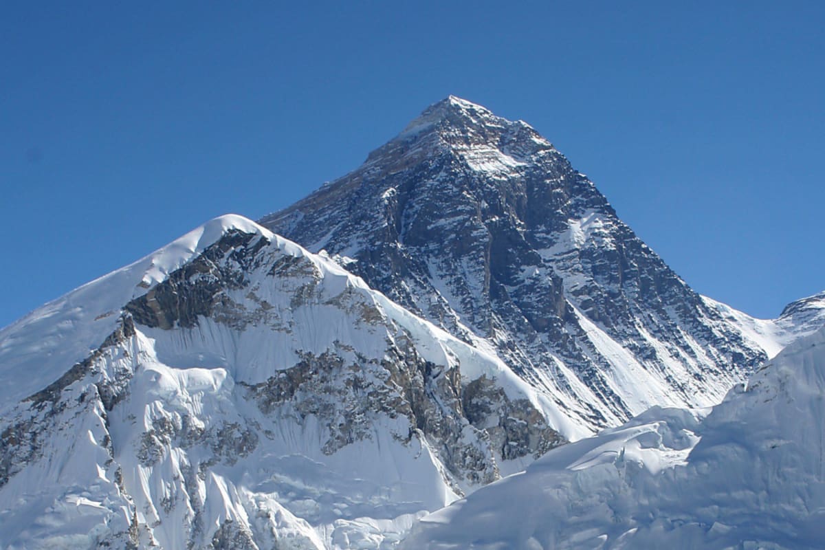IMPACTANTE: Leopardo de las nieves sorprende al aparecer en lo alto del Everest
