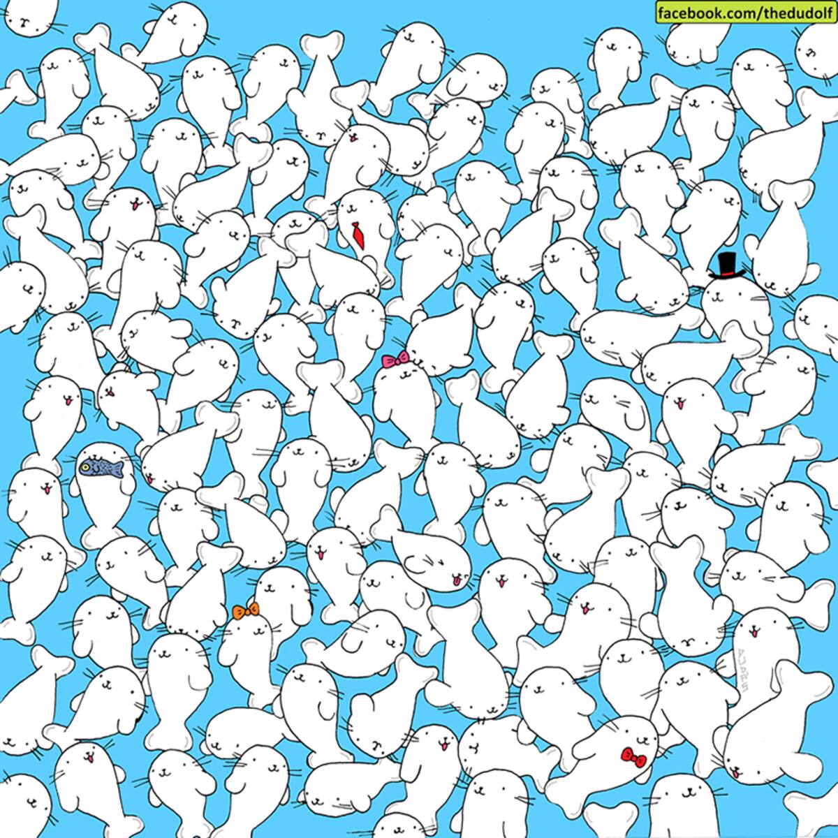 Acertijo visual: encuentra el malvavisco entre las focas