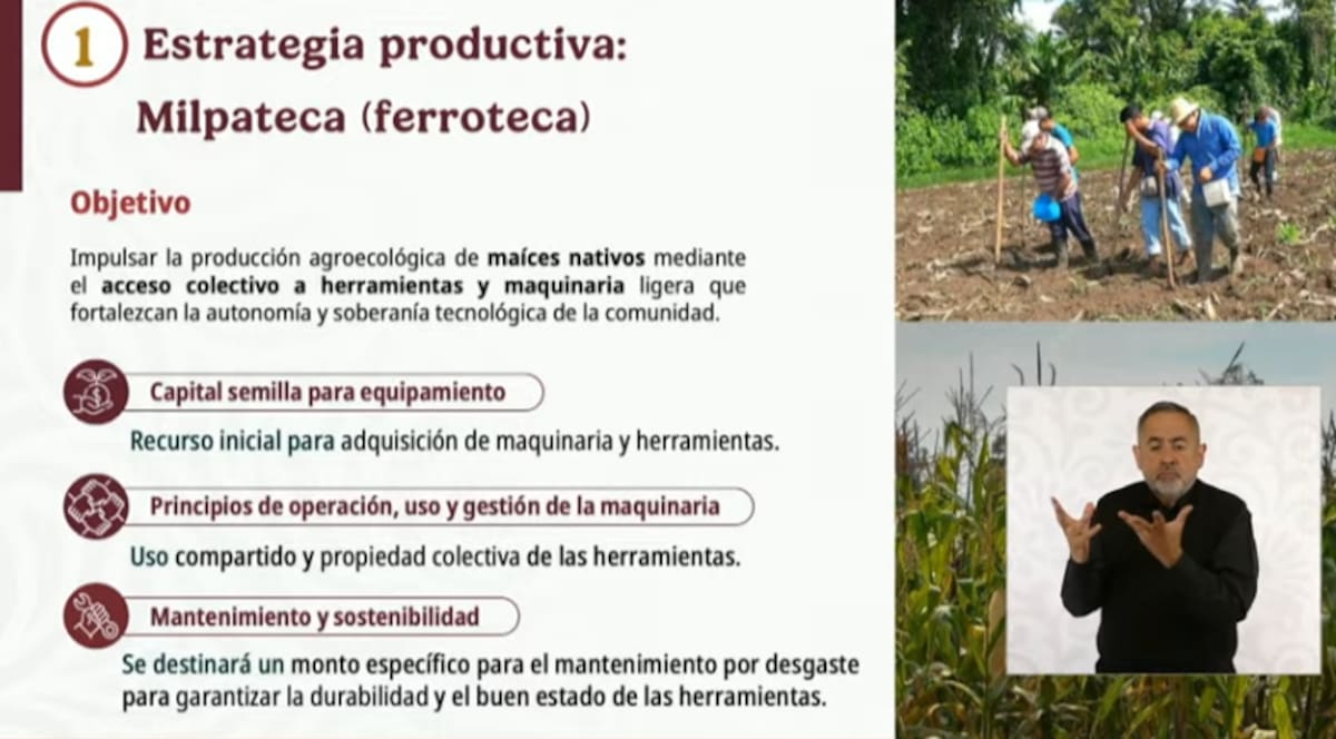 El Gobierno de México presentó el Plan Nacional del Maíz Nativo “El Maíz es la Raíz”, un programa que apoyará a más de un millón de productores con fertilizantes, maquinaria colectiva y acompañamiento técnico.