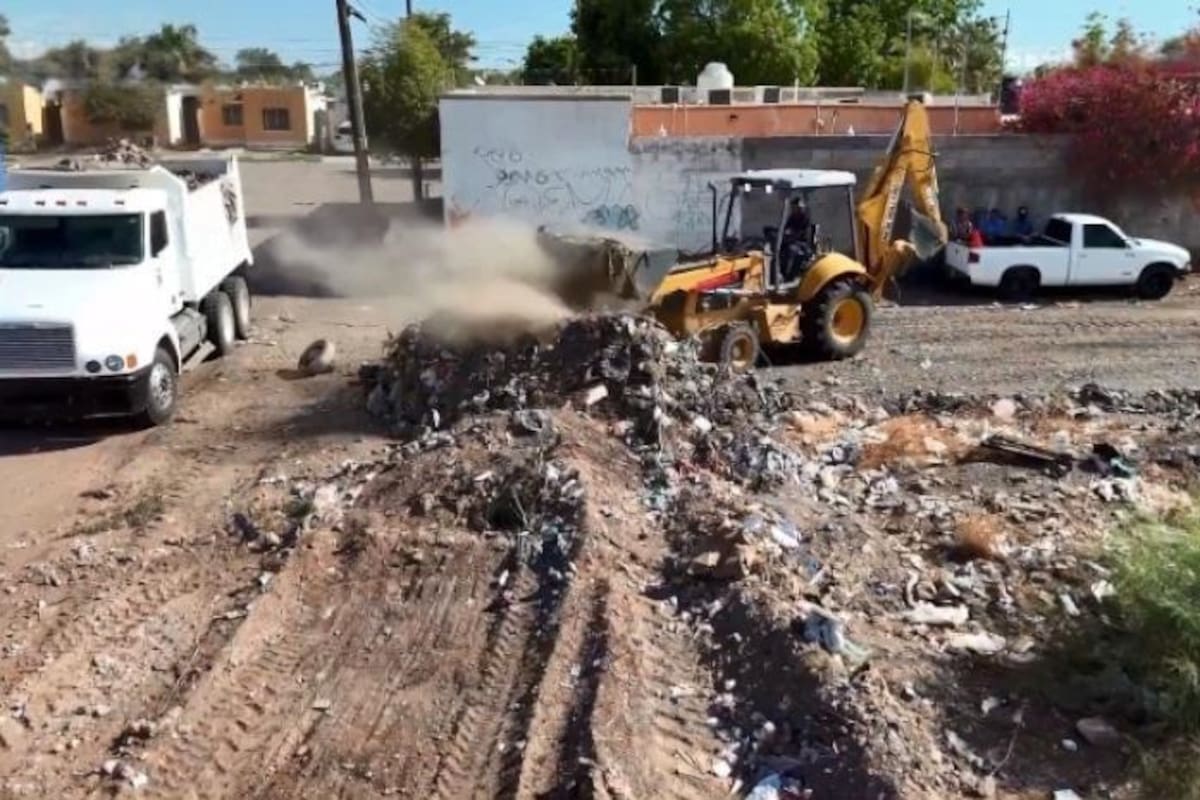 Gastan 9 mdp en limpiar terrenos baldíos en Ciudad Obregón