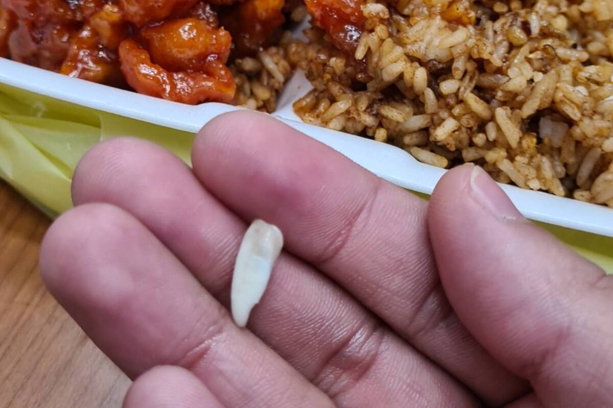 "Ojalá nunca les pase": Joven de Monterrey asegura encontrarse un colmillo en su plato de comida china