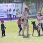 Cuarta Zona Militar invita a Visita Guiada 2026 este viernes: habrá paseos, exhibiciones y actividades gratuitas