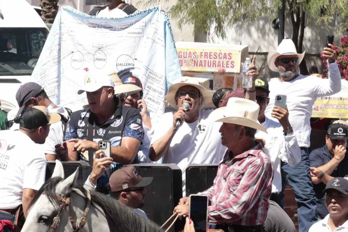 “Somos gente de trabajo”: Galleros protestan en Sonora por Nueva Ley de Protección Animal
