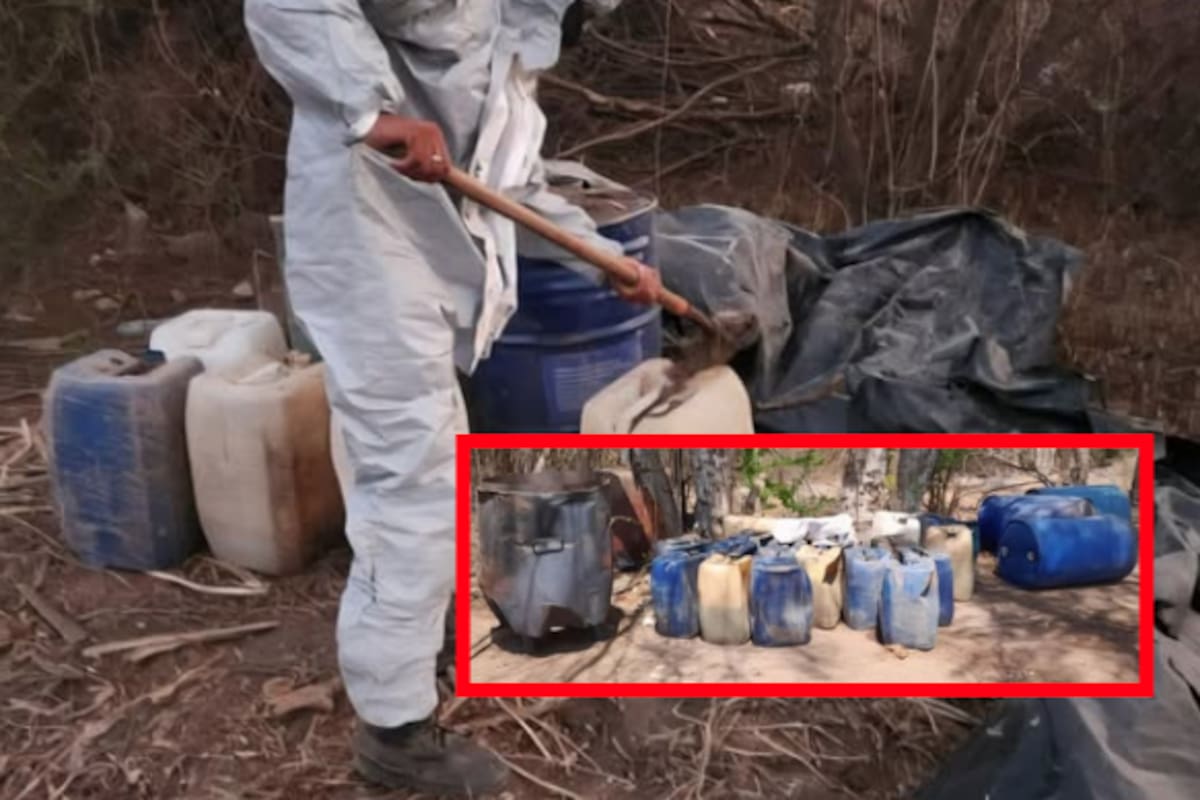 Descubren dos centros de químicos en Culiacán: aseguraron más de 4 mil litros de sustancias para drogas sintéticas