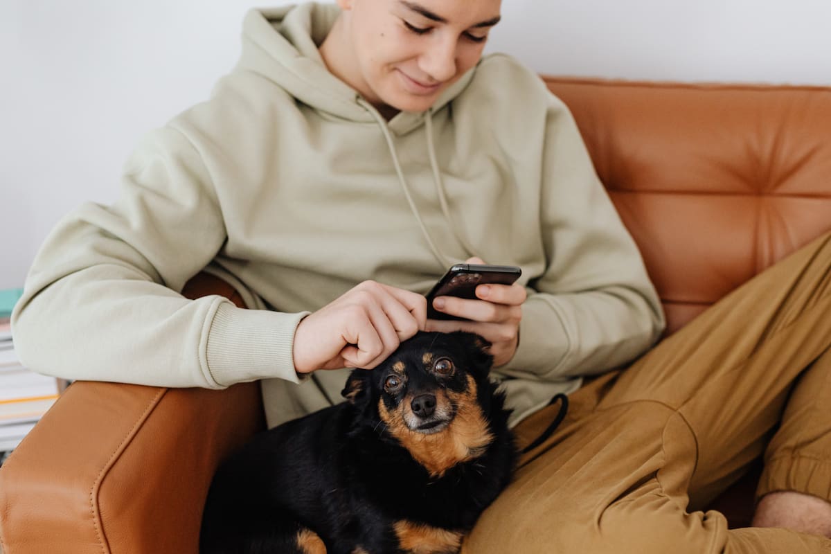 Científicos logran predecir la edad biológica y esperanza de vida de los perros y los humanos a través de su sangre