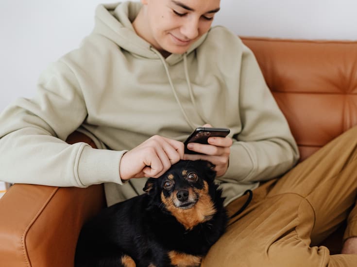 Científicos logran predecir la edad biológica y esperanza de vida de los perros y los humanos a través de su sangre