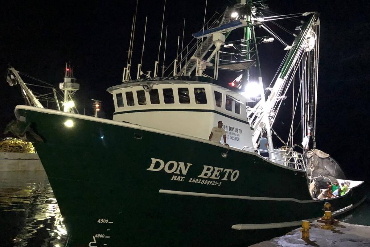 Inician con el pie derecho sardineros en Guaymas