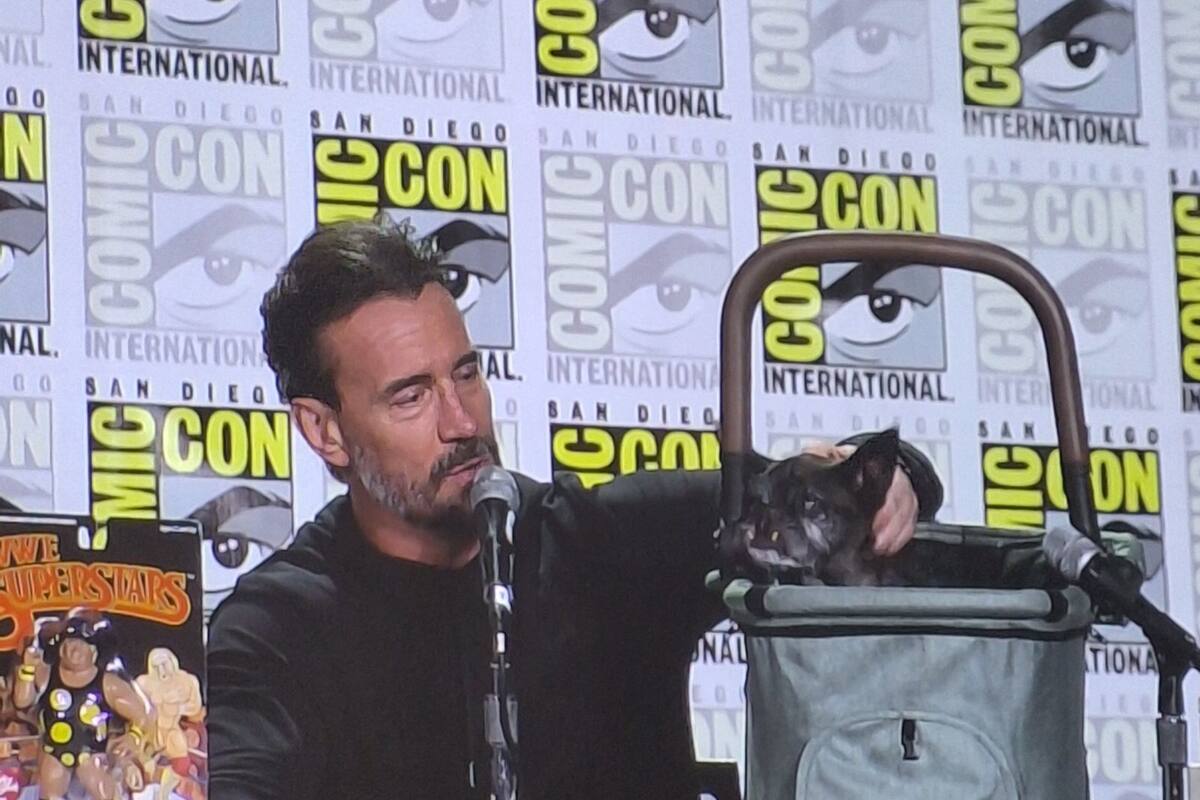 CM Punk aparece como sorpresa en la Comic Con