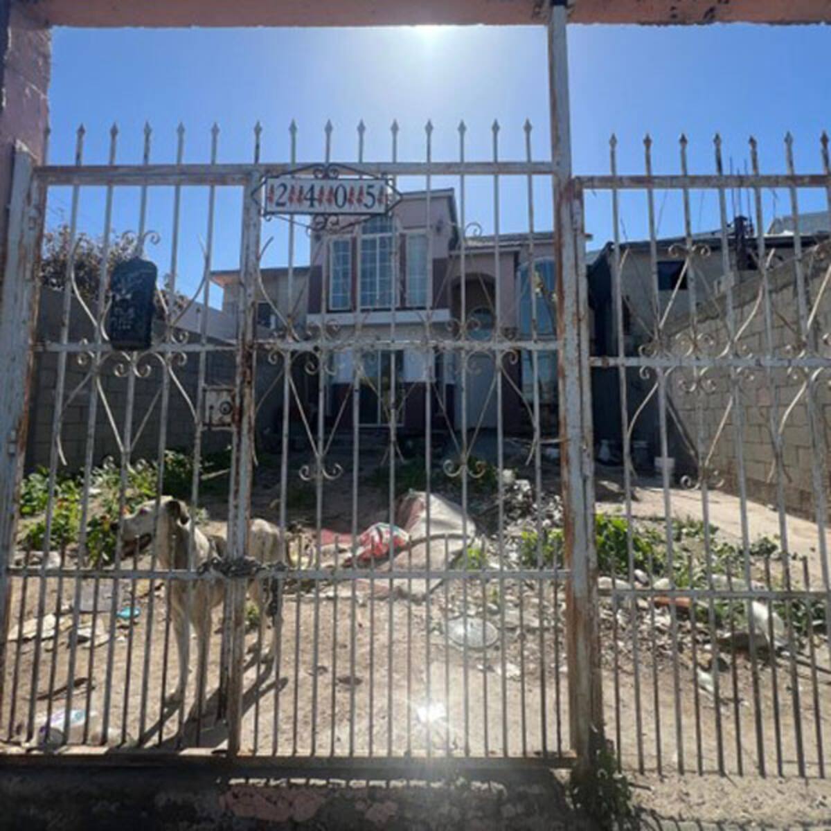Un perro fue rescatado de una vivienda en la colonia La Cúspide y puesto a disposición de Control Animal.