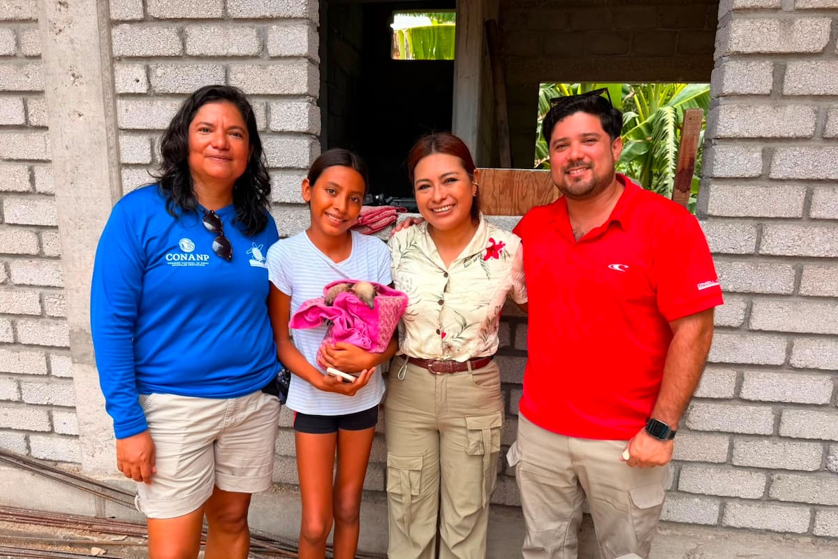 Una niña encontró sola a una cría de oso hormiguero en Barra de la Cruz, Oaxaca; el ejemplar tenía alrededor de dos meses, pesaba 676 gramos y medía 60 centímetros, mientras que su especie puede consumir hasta 9,000 hormigas y termitas diariamente