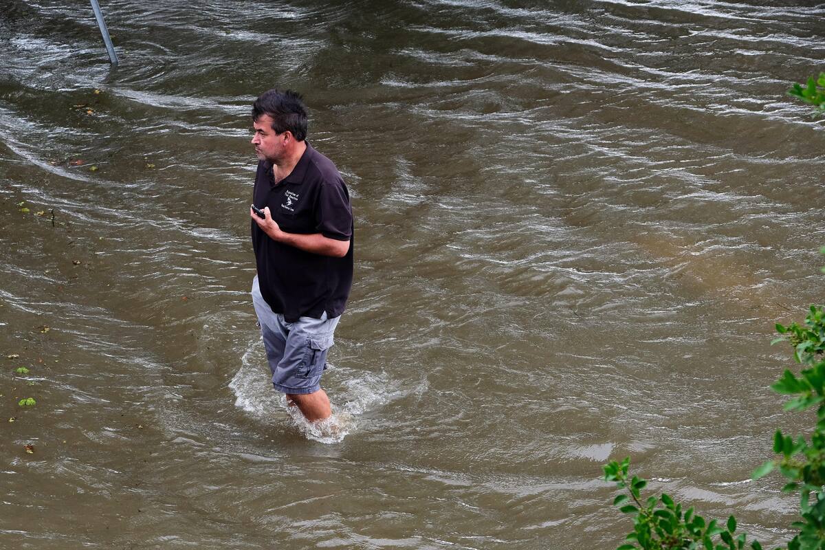 Alertan por serpientes tras paso de 'Barry'
