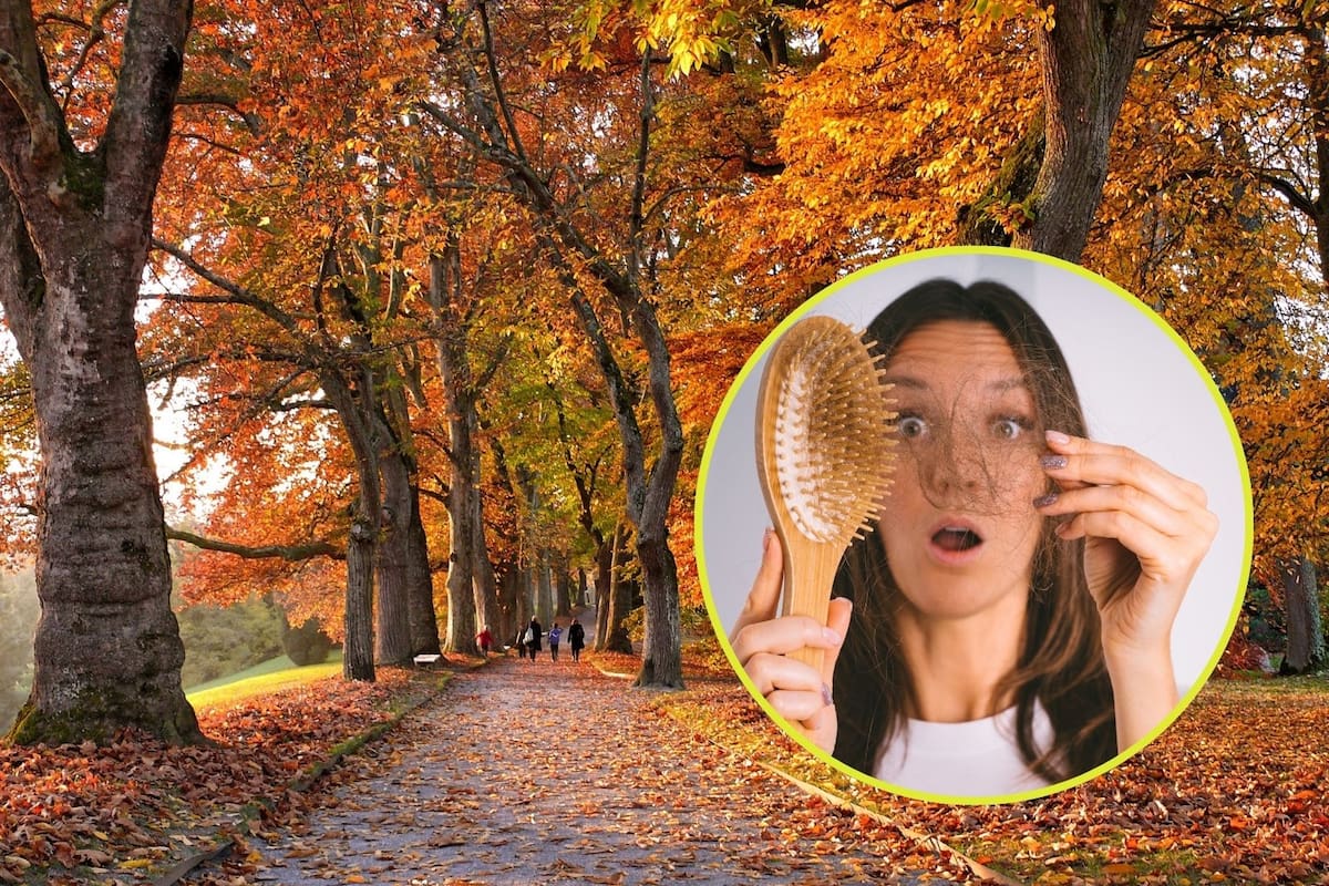 ¿Por qué la caída del cabello depende de la estación del año? Esto revelan los expertos