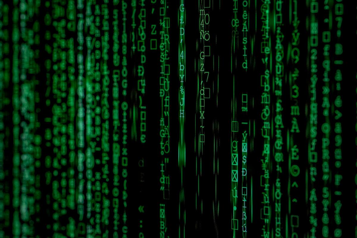 ¿En qué consiste el protocolo Oasis y por qué podría ser clave para el Metaverse?