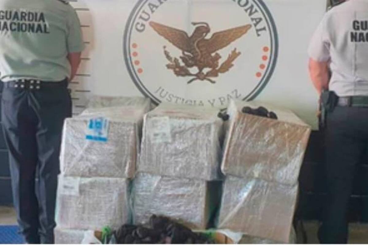 Decomisan pepino de mar, especie protegida, en Hermosillo