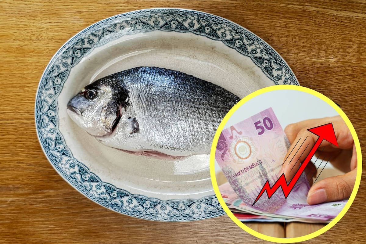 Cuaresma 2026 será 14% más cara, por aumento de precio en pescados y mariscos en supermercados, según Anpec; estos son los precios promedio