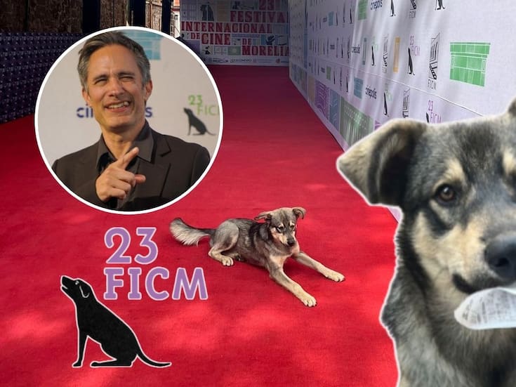 Gael García Bernal invita a adoptar a Maclovio, el perrito cinéfilo que conquistó el FICM 2025