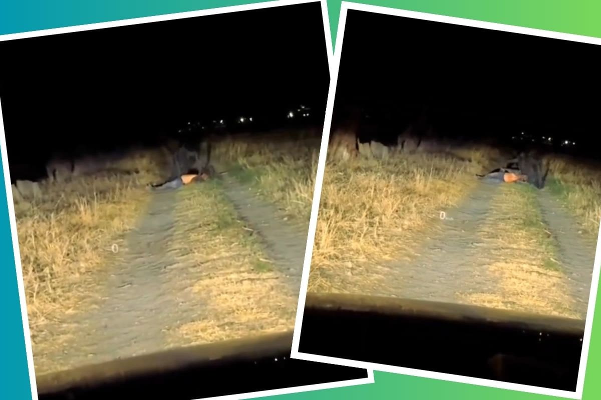 VIDEO: Captan extraña criatura en México, piden ayuda a Jaime Maussan para explicar qué es