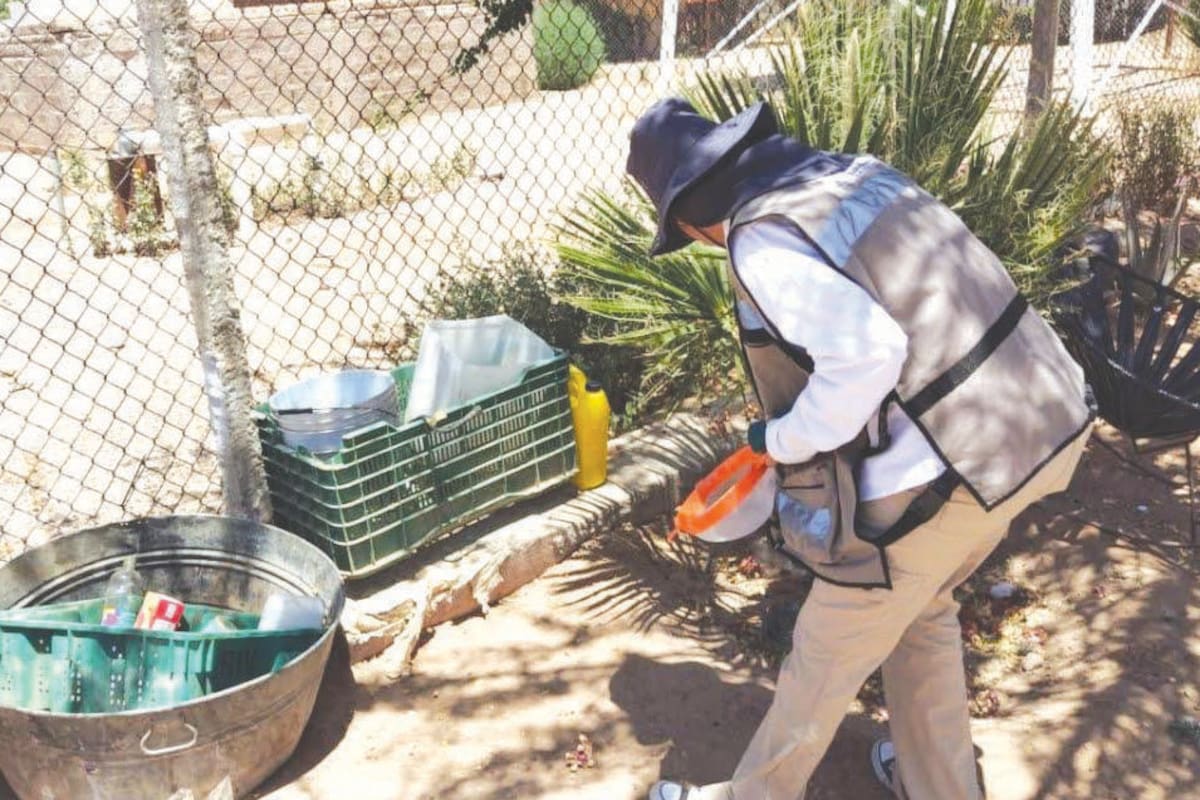 Tres colonias concentran la mayor presencia de mosquitos en Hermosillo: ¿vives en alguna?