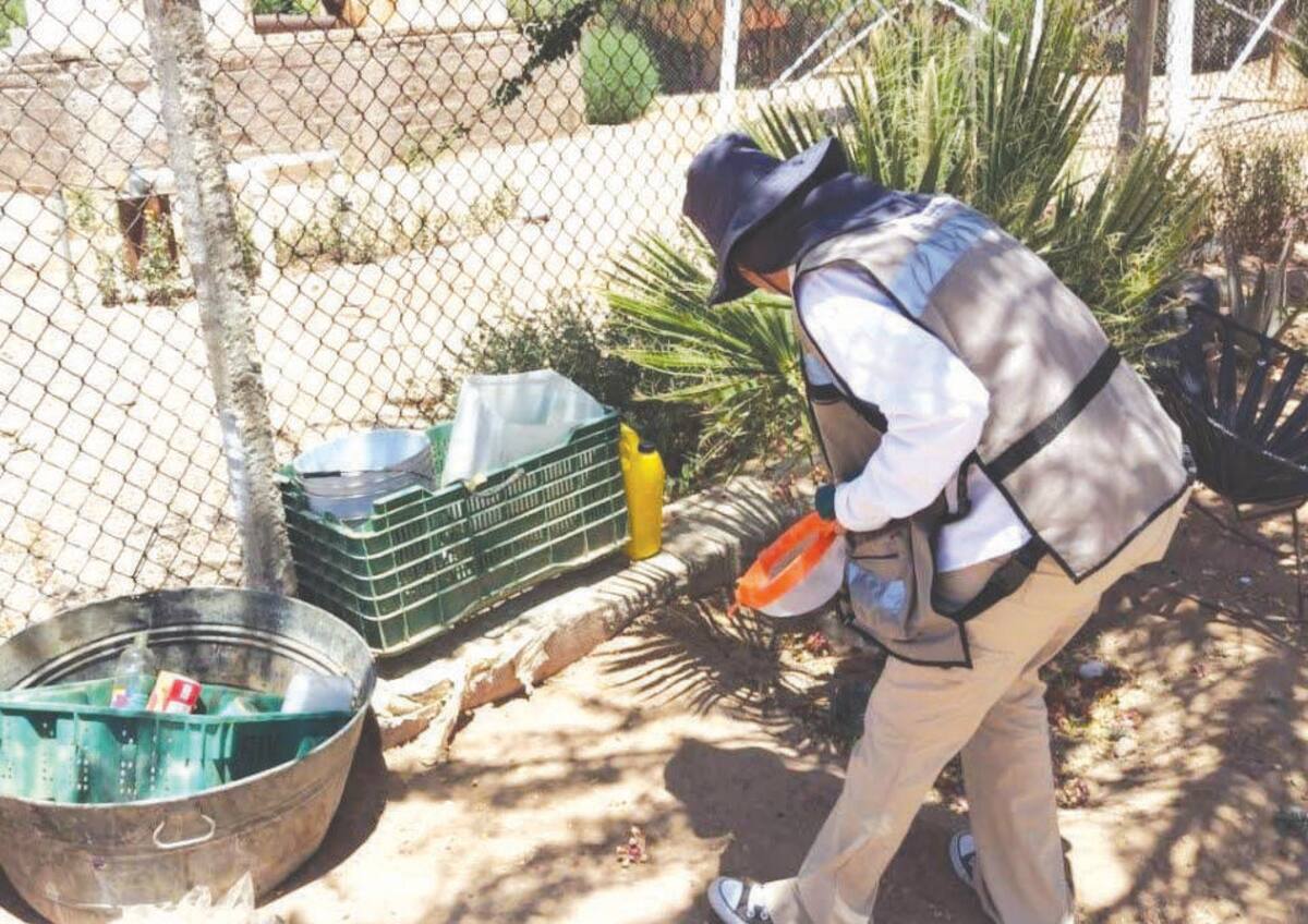 La fumigación no es la única manera de prevenir el dengue, la limpieza es fundamental para evitar que el mosquito no se reproduzca, señalan las autoridades. FOTO: BANCO DIGITAL
